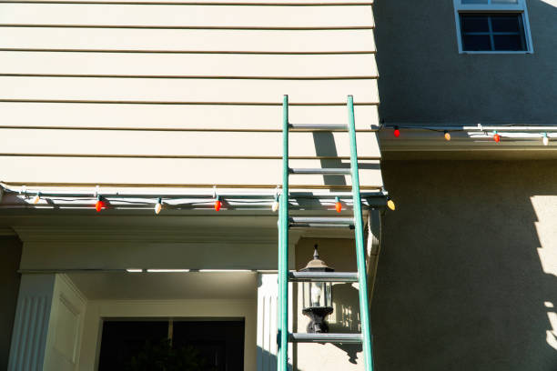 Custom Trim and Detailing for Siding in Carson City, NV