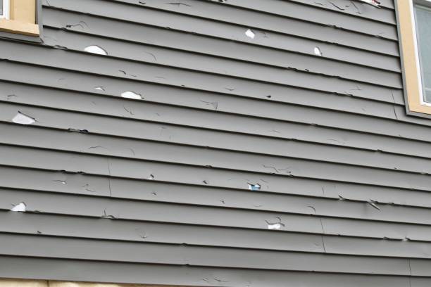 Siding for Commercial Buildings in Carson City, NV